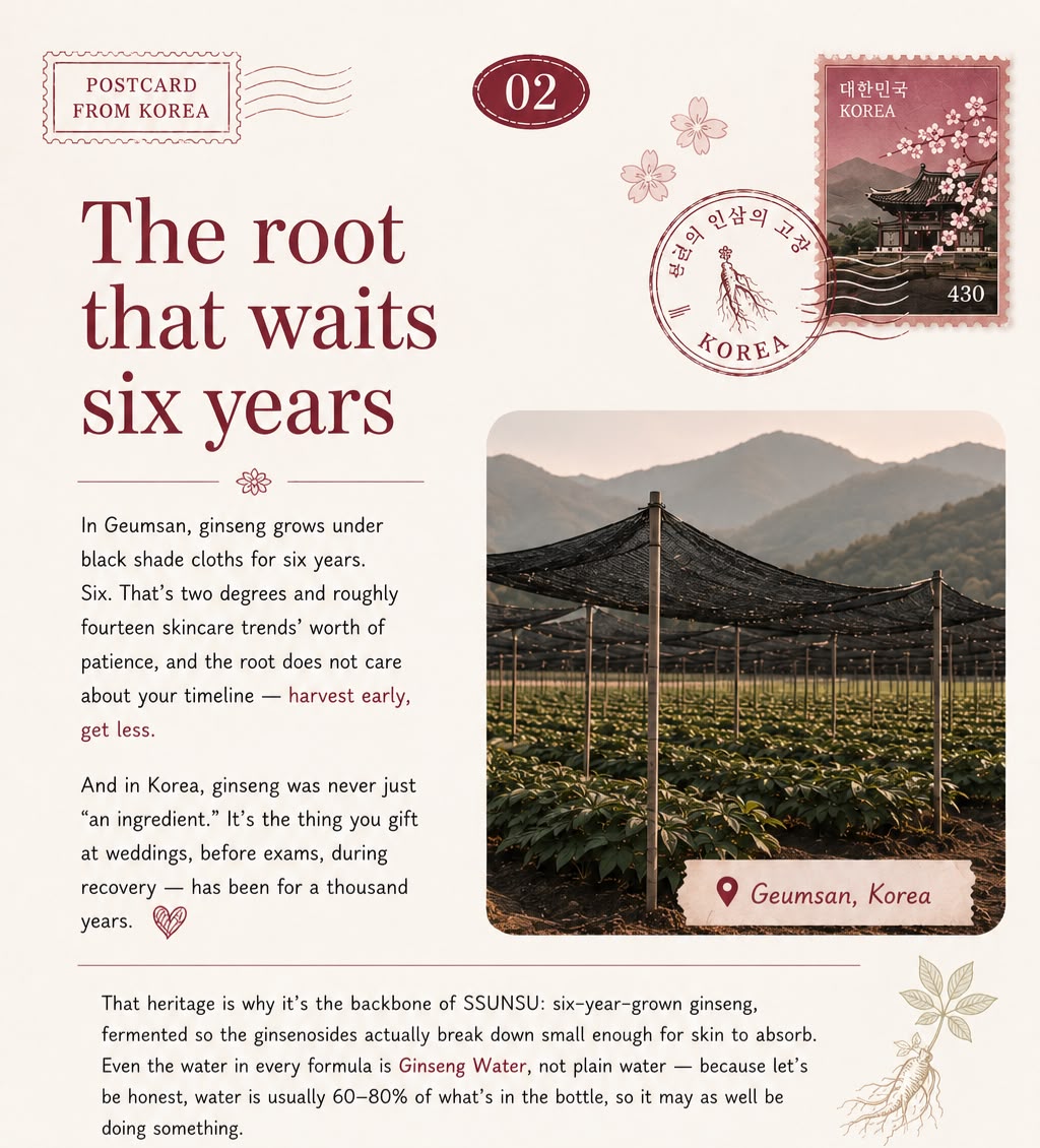 The root that waits six years
